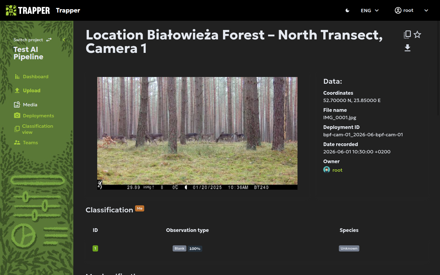 Media detail view showing AI and user classifications