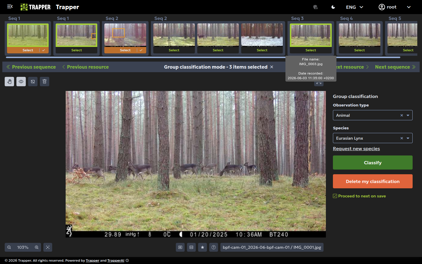Group classification mode with multiple thumbnails selected