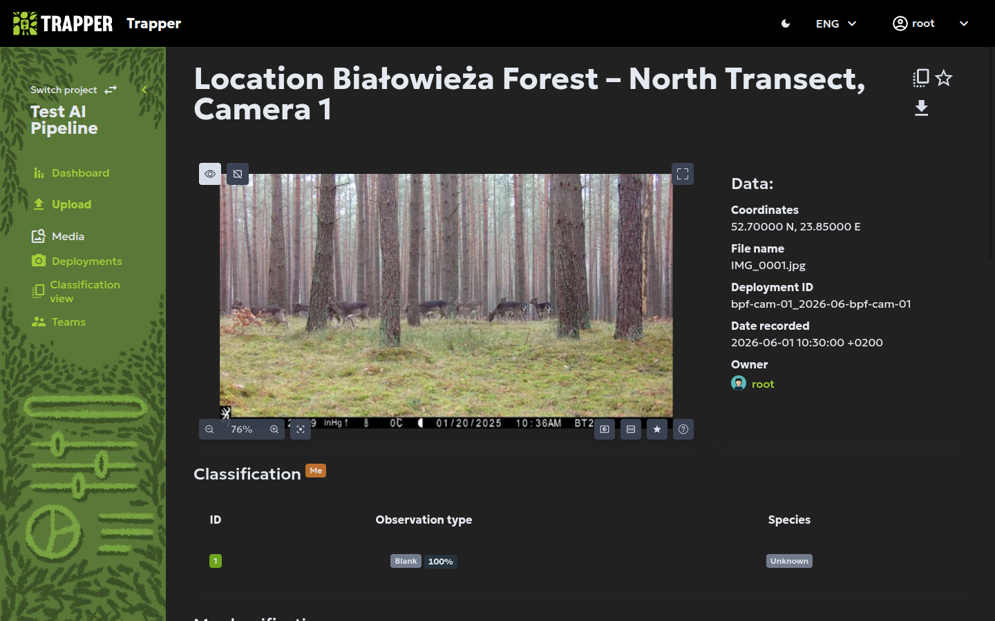 Viewing a single observation in the image viewer