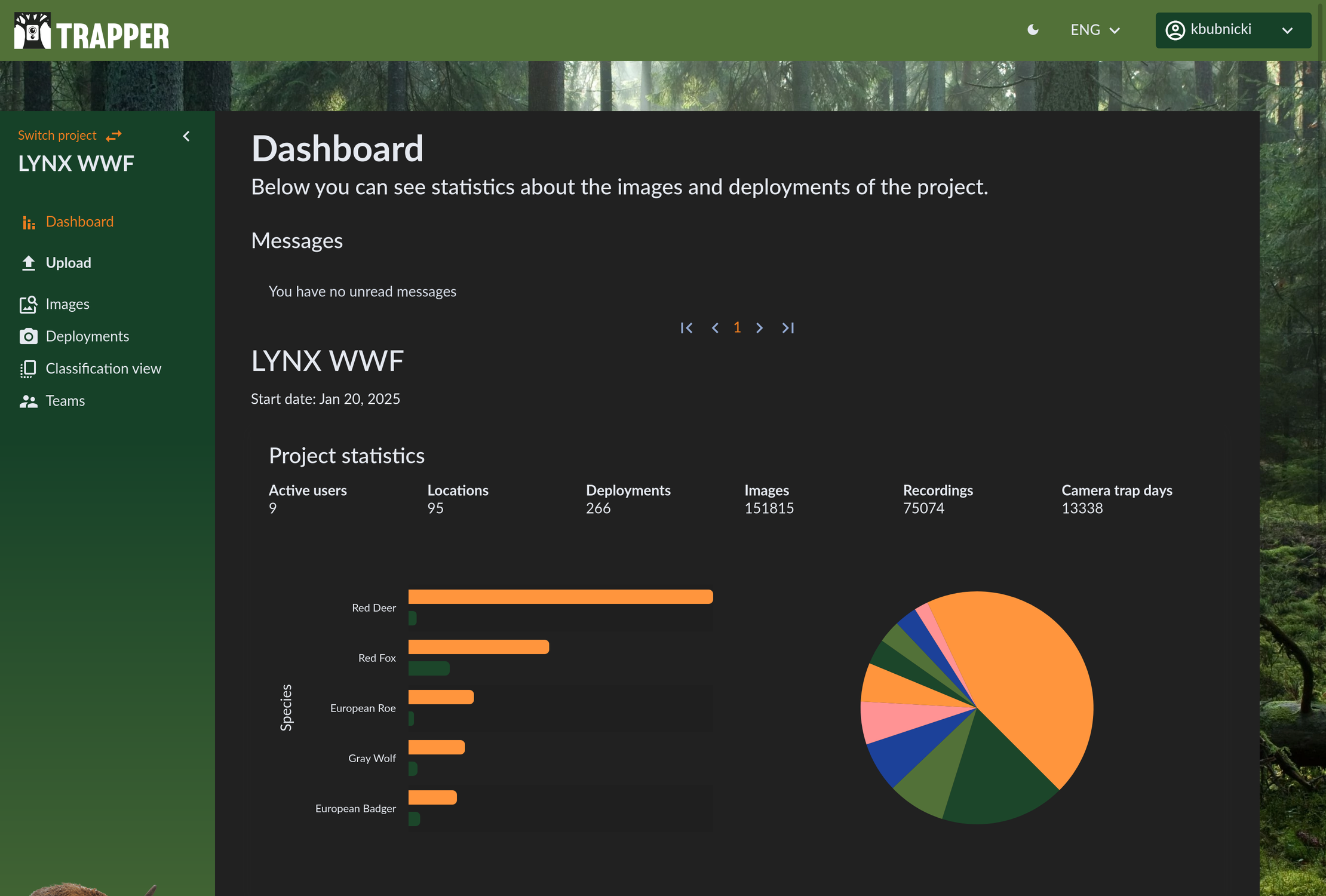 Project-specific dashboard with statistics