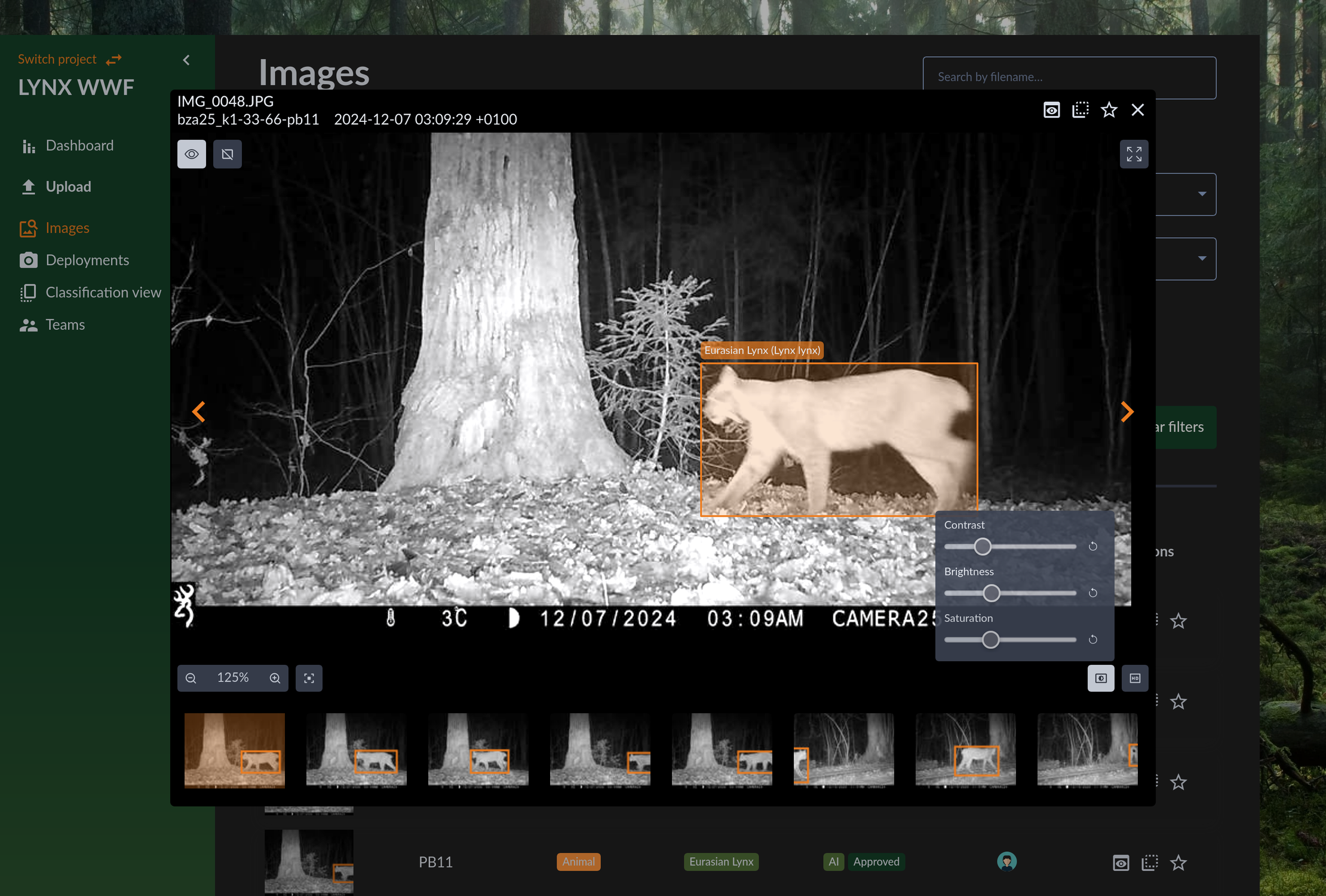Viewing a single observation in the image viewer
