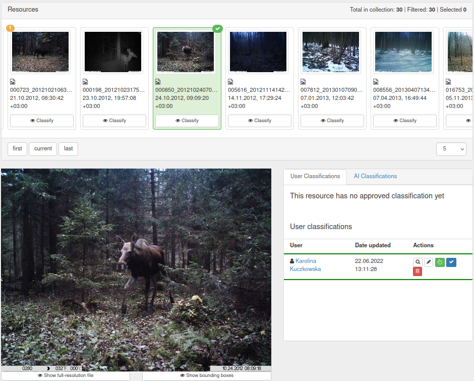 classify resource detail view